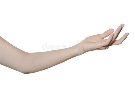 Hand And Arm Isolated On White Stock Photo Image Of Isolated