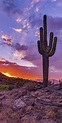Arizona Desert Sunset Wallpapers - 4k, HD Arizona Desert Sunset ...