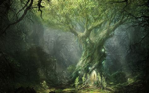 Fantasy Forest Hd Wallpaper