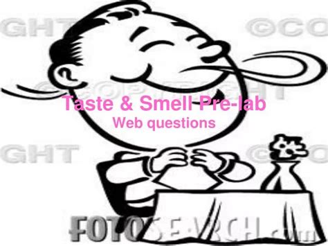 Ppt Taste And Smell Pre Lab Powerpoint Presentation Free Download Id