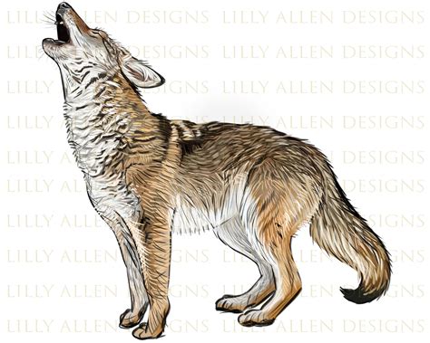 Howling Coyote Illustrations Png Digital Downloadcoyote Etsy Denmark