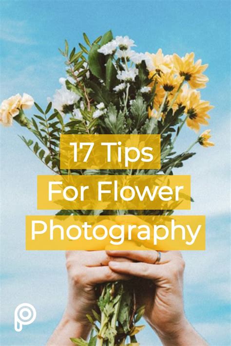 Ultimate Guide To Flower Photography 17 Tips And Ideas Picsart Blog