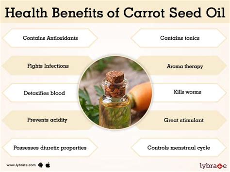 Carrot Seed Oil Benefits And Its Side Effects Lybrate