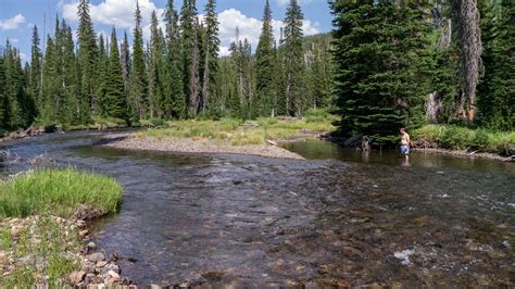 Bechler River Trail Yellowstone