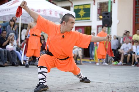 Everything You Need To Know About All The Kung Fu Fighting Styles