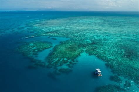 Cairns Premier Great Barrier Reef And Island Tours Working With Volvo