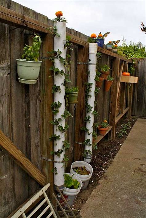 There are an endless array of possibilities for pvc pipe projects. 15 Low-Cost DIY Gardening Projects Made With PVC Pipes | Do it yourself ideas and projects