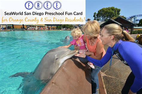 Experience The Magic Of Seaworld San Diego With Our Free Preschool Fun