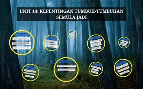 Kepentingan Tumbuhan Semula Jadi Di Dunia