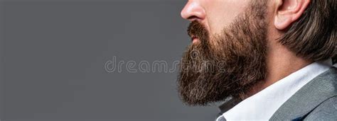 Close Up Of Handsome Beard Hipster Elegant Male Beard Is His Style