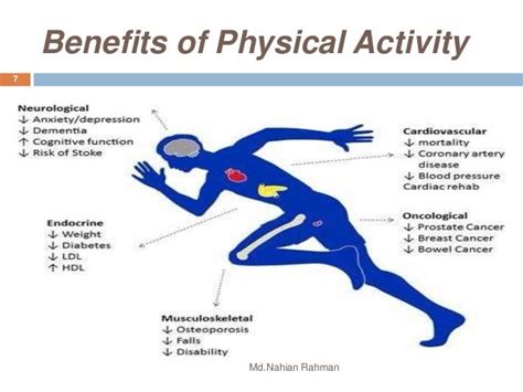 Benefits Of Physical Activity 7 Benefits Of Regular Physical Activity