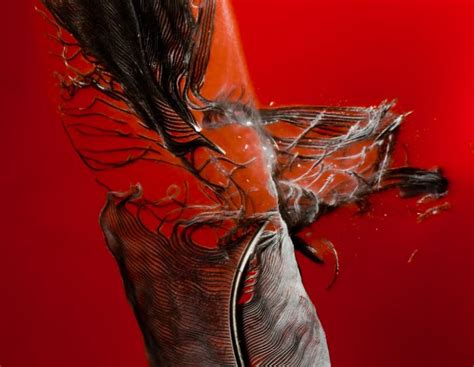 Amazing High Speed Photography By Alan Sailer Part 2 110 Pics