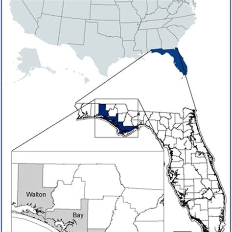 Map Showing The State Of Florida Within Usa And The 4 Coastal Counties