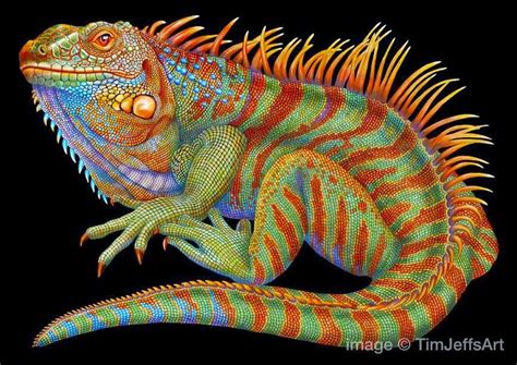 Simply Creative Colorful Drawings Of Reptiles By Tim Jeffs