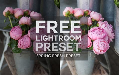 Gradient filter, radial filter, or brushes. Free Lightroom Preset | Spring Fresh - Chic Lightroom ...