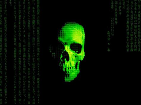 Hacker Skull Wallpapers Top Free Hacker Skull Backgrounds