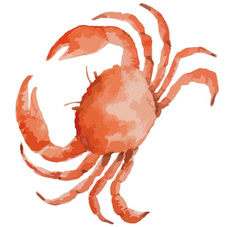Crab Clipart Crab Food Crab Crab Food Transparent Free For Download On
