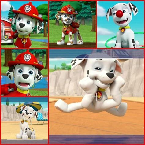 Marshall Paw Patrol Cartoon Marshall Paw Patrol Paw Patrol Pups