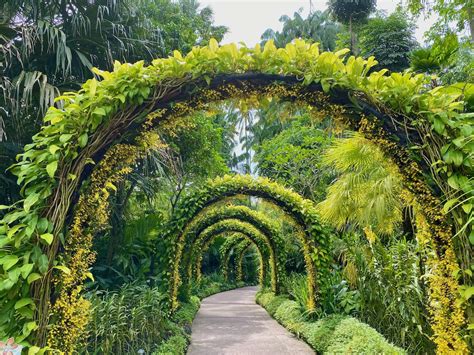 Por Que Você Deve Visitar Os Belos Jardins Botânicos De Cingapura Duas