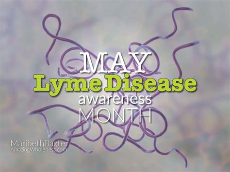 Lyme Awareness Month | Lyme disease awareness, Awareness month, Awareness