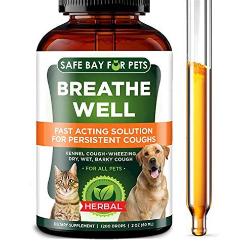 Top 10 Kennel Cough Antibiotics For Dogs For 2020 Sugiman Reviews