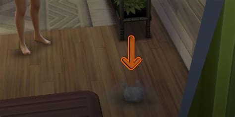 How To Clean Dust In The Sims 4