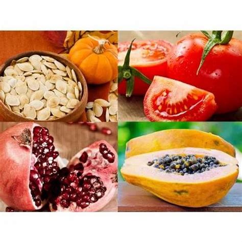 Fruit Seed Mulberry Seeds Exporter From Faridabad