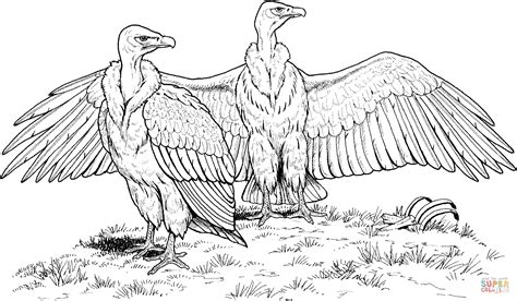Vulture Coloring Pages Download And Print For Free