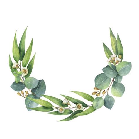 Image Result For Eucalyptus Wreath Clip Art Wreath Drawing Flower