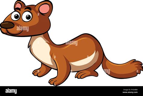 Brown Mongoose On White Background Illustration Stock Vector Image