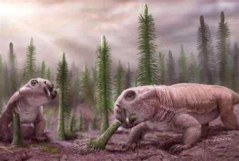 What Organisms Lived In The Permian Period Prehistoric Animals