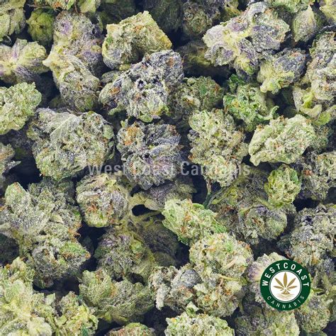 Buy Gorilla Candy Aaaa Popcorn Nugs Online West Coast Cannabis