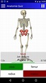 Anatomie Quiz - Grundwissen der Anatomie einfach erlernen