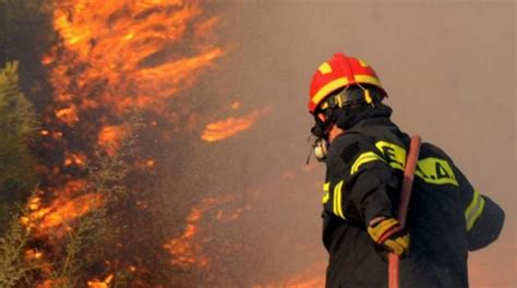 Πυρκαγιά στα μεγαρα | 902.gr. Χειροπέδες σε 29χρονο για τη φωτιά στα Μέγαρα