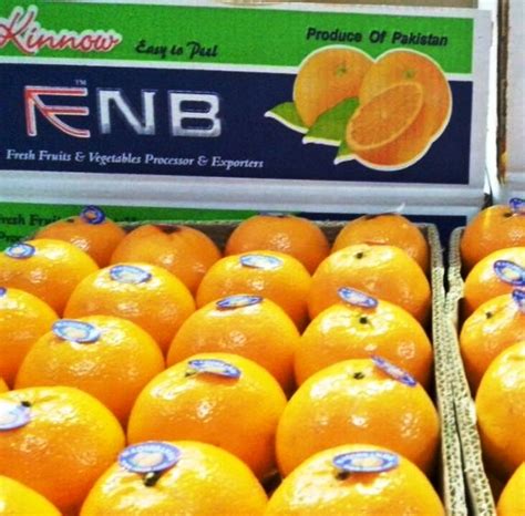 Farm Fresh Easy To Peel Mandarin Kinnow From Pakistan Buy Fresh