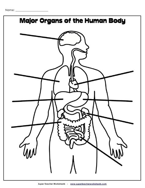 Science Human Organ Systems Quiz 1 Diagram Quizlet