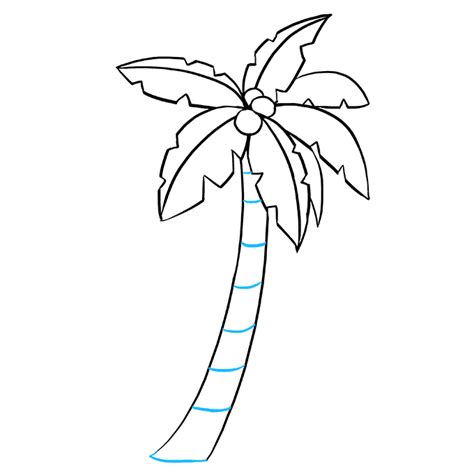 How To Draw A Palm Tree Step By Step