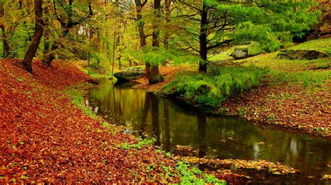 Autumn Landscape River Forest Fallen Leaves Red Hd Wallpaper 1379