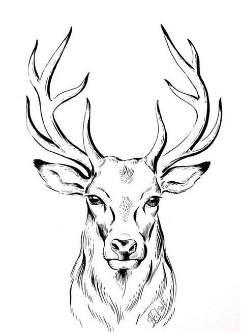 Original Zeichnung Hirsch Minimalistische Zeichnung Bild Tusche Deer