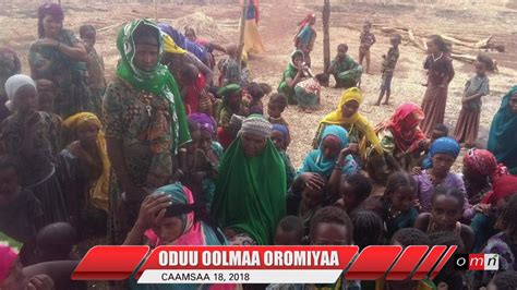Oromia Media Network Omn Oduu Oolmaa Oromiyaa Caamsaa 18 2018