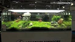 Saltwater Fish Store Near Me - #fishing for candy canes, fishing pole