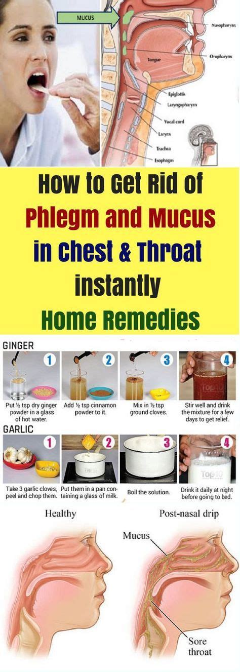 How To Get Rid Of Phlegm And Mucus In Chest And Throat Instantly Home