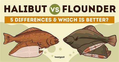 Halibut Vs Flounder 5 Differences And Which Is Better