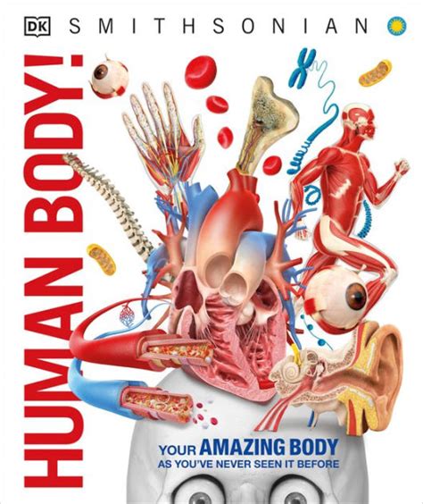 Human Body By Dk Hardcover Barnes And Noble