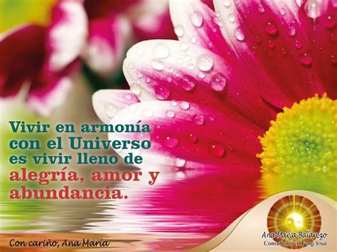 Pin By Ana Maria Balarezo Feng Shui On Frases Fengshui Frases