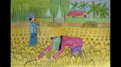 Chi Tiết Với Hơn 97 Về Vẽ Tranh Người đang Gặt Lúa Hay Nhất Jtcvietnam