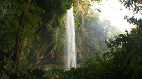 Waterfall And Jungle Sounds Relaxing Tropical Rainforest Nature Sound