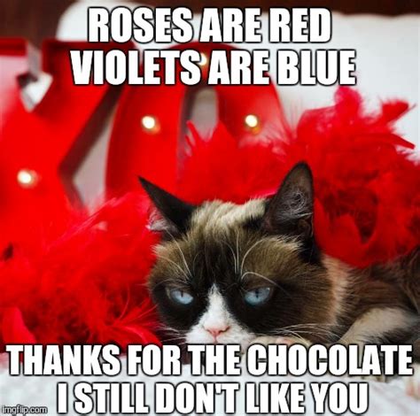 Grumpy Cat Valentine Bah Humbug Imgflip