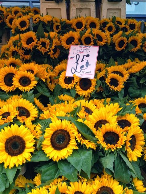 Sunflowers For Sale At A Farmers Market With Price Tags On Them