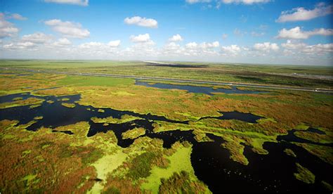 Effort To Save Florida Everglades Falters As Funds Drop Democratic